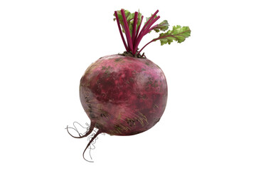 Fresh beet isolated on white background