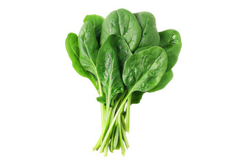 Fresh bunch of spinach leaves isolated on white background