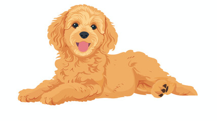 Cute Goldendoodle breed dog. Trained loyal Labradoodl