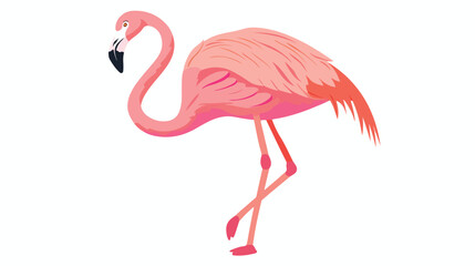 Cute pink hand drawn flamingo vector flat illustration