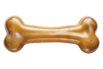 Rubber dog bone isolated on white background