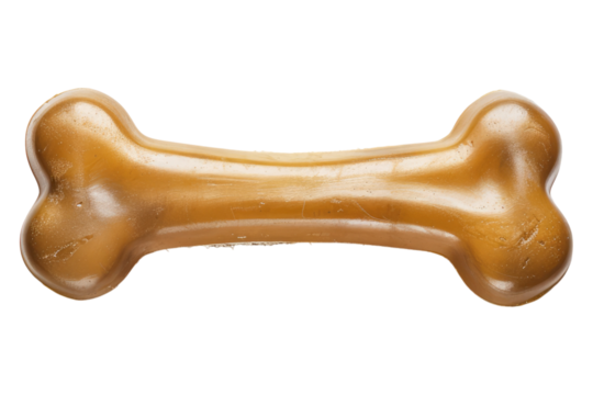 Rubber dog bone isolated on white background