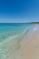 Fototapeta premium Clear blue sky and turquoise sea at a sandy beach
