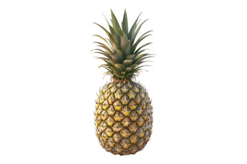 Fototapeta premium Whole pineapple with its rugged golden isolated on white background