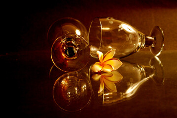 Obraz premium fragile wine glasses