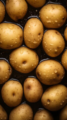 fresh potato adorned with glistening raindrops of water background poster 