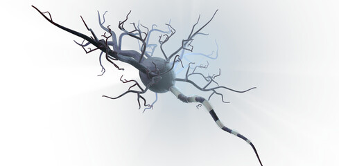 Detailed illustration of a neuron, showcasing neural connections, axons, dendrites, and synaptic structures in a conceptual and scientific depiction of the nervous system.