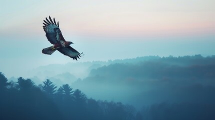 Eagle Soaring Over Forest at Dawn