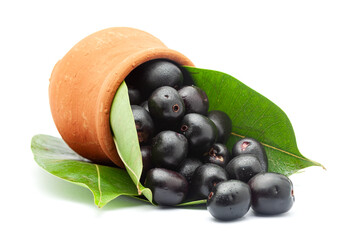 'Indian blackberry' or Jamun (Syzygium cumini) fresh fruits spilled from the mud pot. Isolated on a white background. Front view.
