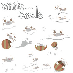 Cute white seal with red ball