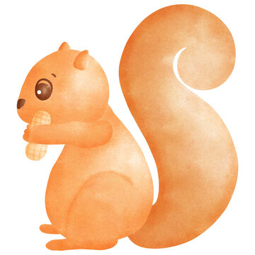 squirrel with a nut, transparency illustration.