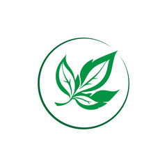 Green leaf ecology nature element vector icon, Leaf Icon, green leaf ecology nature element vector