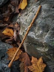 Autumn leaves and a wooden stick on a rocky surface