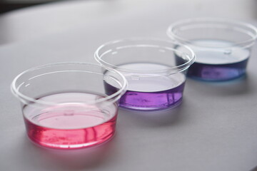 小学一年生の子供が学校の授業で育てた朝顔を摘んで朝顔の色水を作り遊んでいる様子