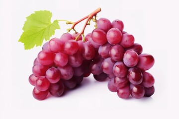 illustration of different variety of grape on white background