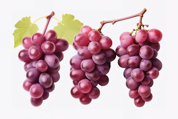 illustration of different variety of grape on white background