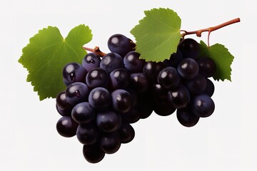 Fototapeta premium illustration of different variety of grape on white background