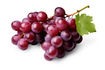 Fototapeta premium illustration of different variety of grape on white background