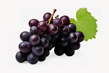 Fototapeta premium purple grapes with water drops on white background