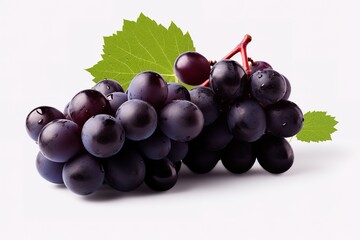 Fototapeta premium purple grapes with water drops on white background