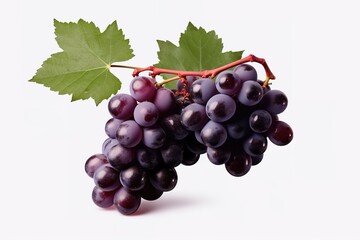 Fototapeta premium purple grapes with water drops on white background