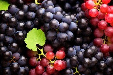 Fototapeta premium purple grapes with water drops on white background