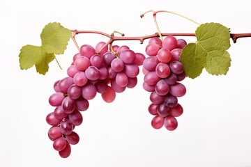 Fototapeta premium bunch of red grapes isolated on white