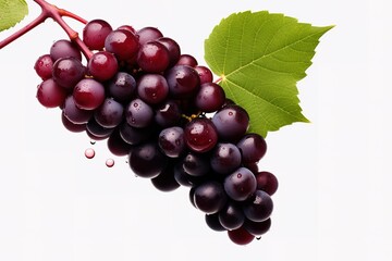 Fototapeta premium purple grapes with water drops on white background