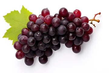 Fototapeta premium purple grapes with water drops on white background