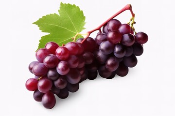 purple grapes with water drops on white background