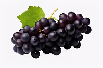Fototapeta premium purple grapes with water drops on white background