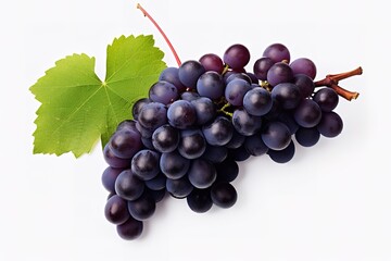 Fototapeta premium purple grapes with water drops on white background
