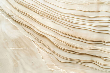 Obraz premium The texture of the tree. An aesthetic background surface with a light wood texture and an ancient natural pattern. Wood texture for design and decoration.Copy and paste the background.