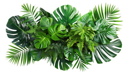 Foliage. Tropical Leaves Bush and Palm Tree in Jungle with Monstera and Fern Plant