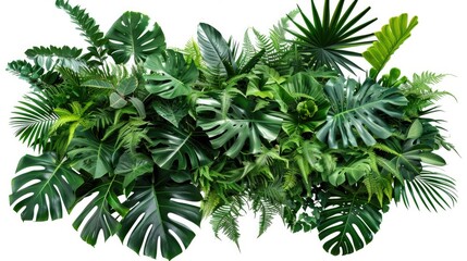 Foliage. Tropical Leaves and Plants in Jungle Bush Arrangement on White Background