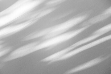 Obraz premium Wall interior background, studio and backdrops show products.with shadow from window color white and grey. background for text insertion and presentation product 