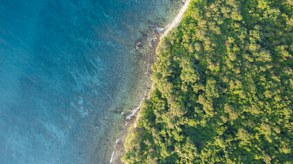 Aerial view of the dark green forest and the sea. Natural ecosystems of forests and oceans. concept...