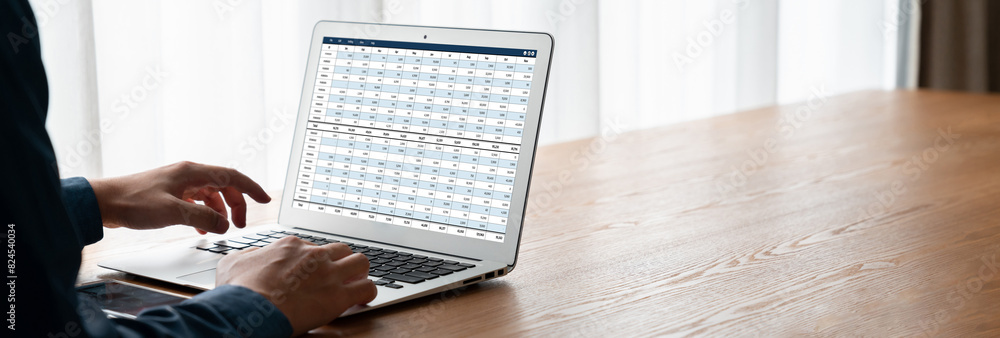 Poster accounting software on computer screen showing financial statement spreadsheets and account balance 