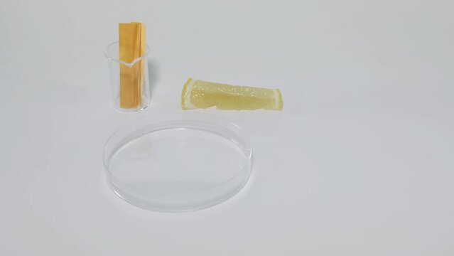 Lemon Juice Litmus Paper Test