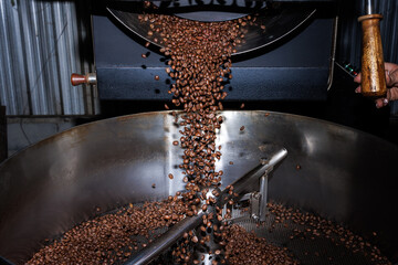 roasted coffee beans falling in a spinning roaster mashine
