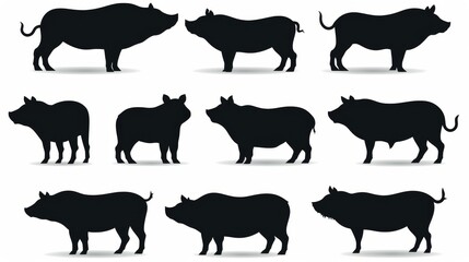 Black pig silhouettes on white background, diverse pigs vector collection. Ideal for agriculture branding, meat store logos, educational materials, and countryside imagery