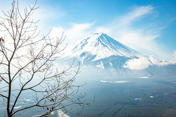 Snow covered Mt Fuji from Kawaguchiko Tenjozan Park in Winter
