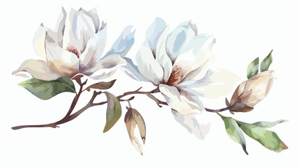 White flower magnolia watercolor floral clip art. Per