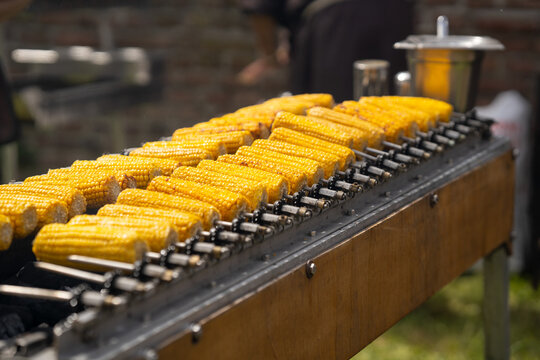 Pannocchie alla griglia di carbone in fiera