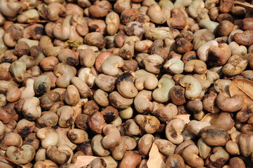 cashew nuts heap background with shell. Top view. Flat lay