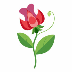 A minimalist Sweet Pea flower vector illustration 