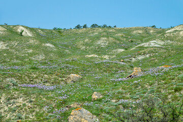 Dry eroded slope of northern part of Black Sea