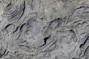 Stone texture worn by the wind and the sea of ​​the coast located on a wild beach.