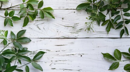 Green leaves on a whitewashed wooden background.