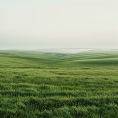 Obraz premium Rolling Green Hills Under a White Sky